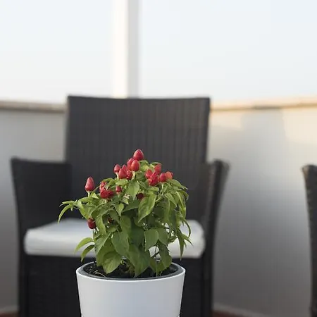 L'attico Apartment *